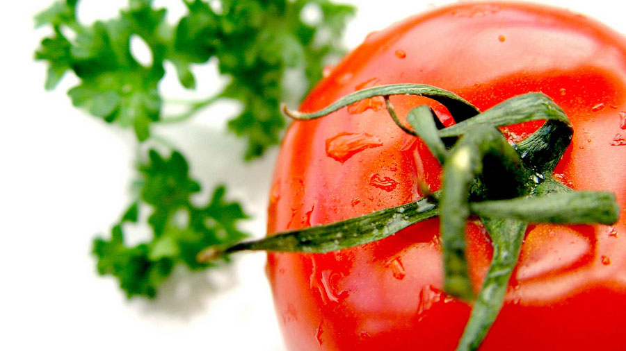 il pomodoro è un alimento ricco di licopene che conferisce il caratteristico colore rosso