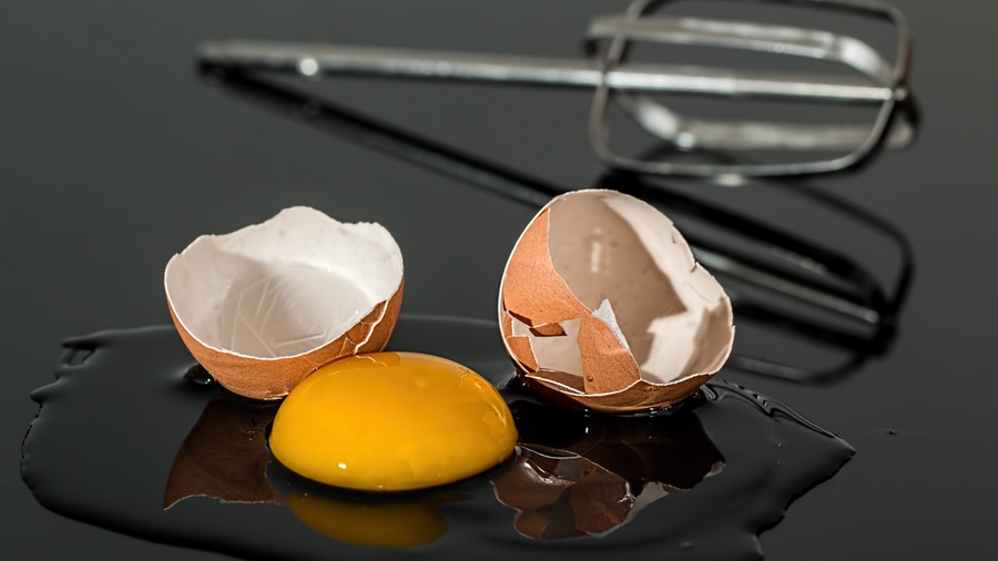 le uova sono un'ottima fonte di proteine