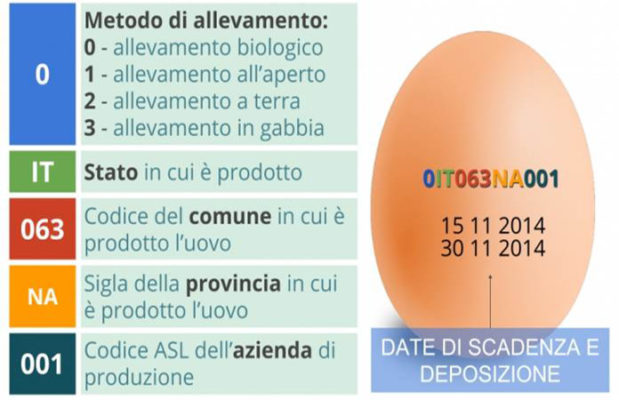 uovo con il codice che descrive la sua provenienza
